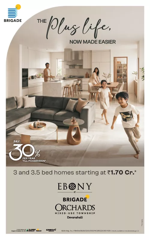 Ebony at Brigade Orchards Mobile banner