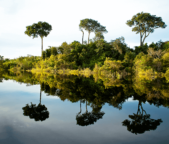 Water Resources At Brigade Orchards